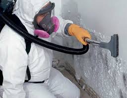 Best Mold Documentation for Insurance Claims  in Saddle Rock, NY